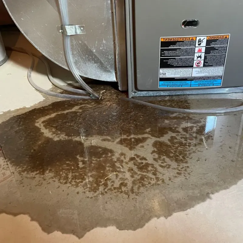 Pipe Burst and Leak Restoration in Boston, MA